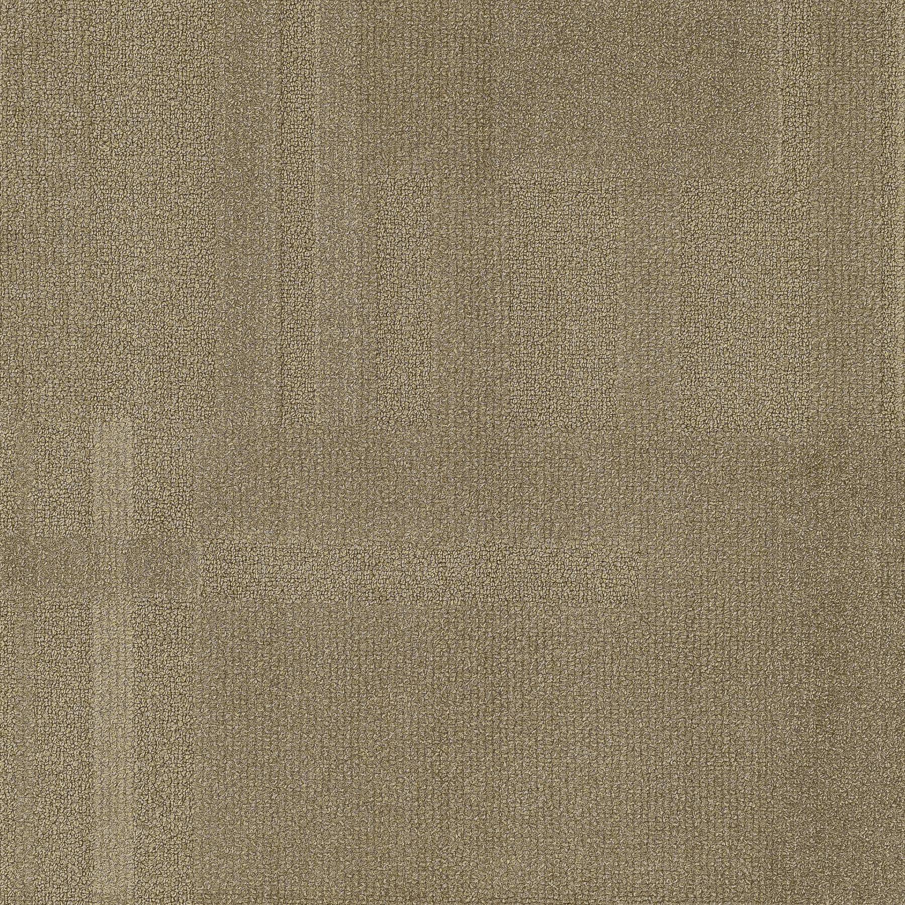 Vivid 202 - Llama Drama