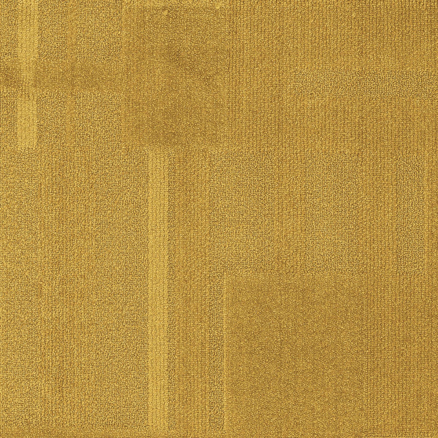 Vivid 202 - Mac 'N' Cheese