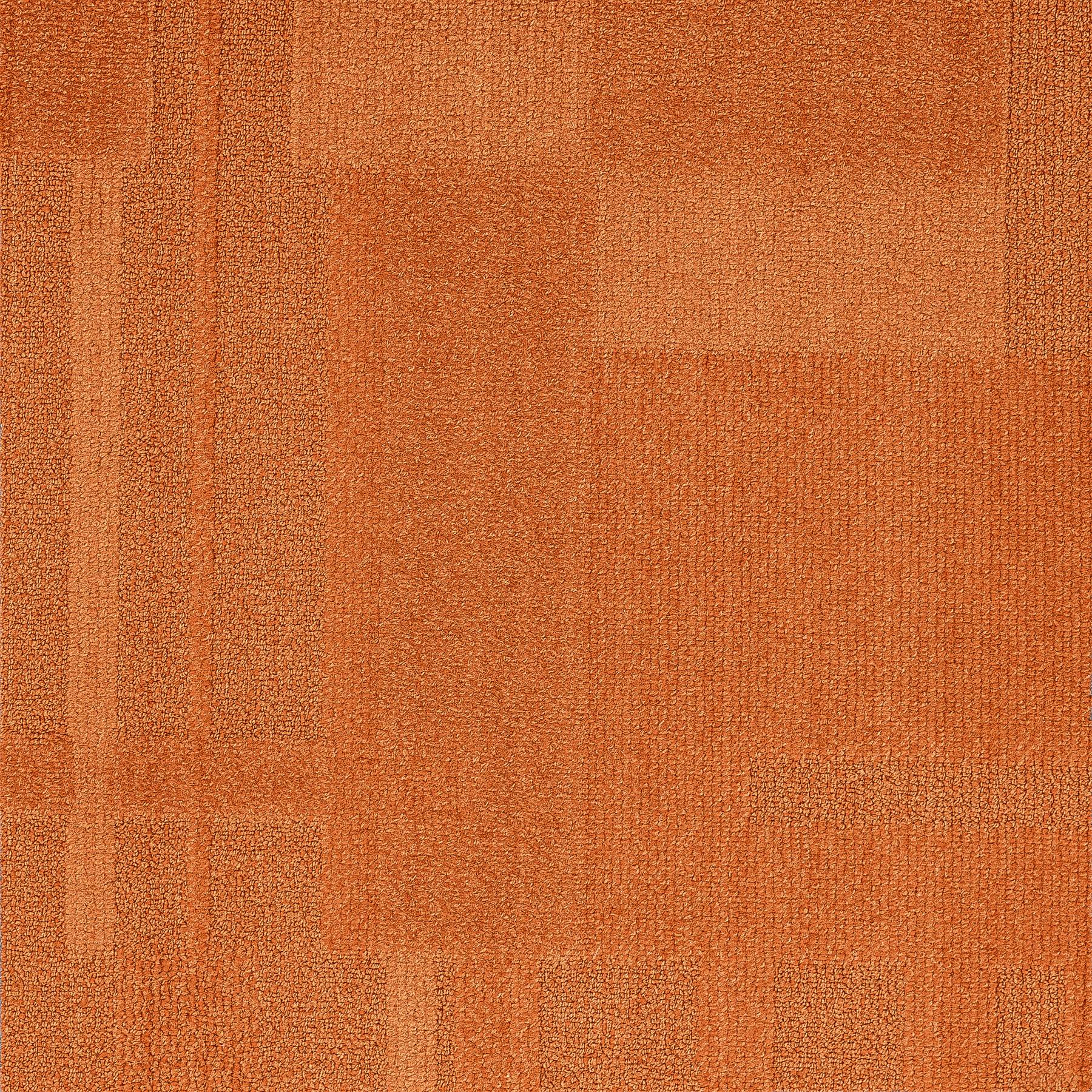 Vivid 202 - Mango Tango