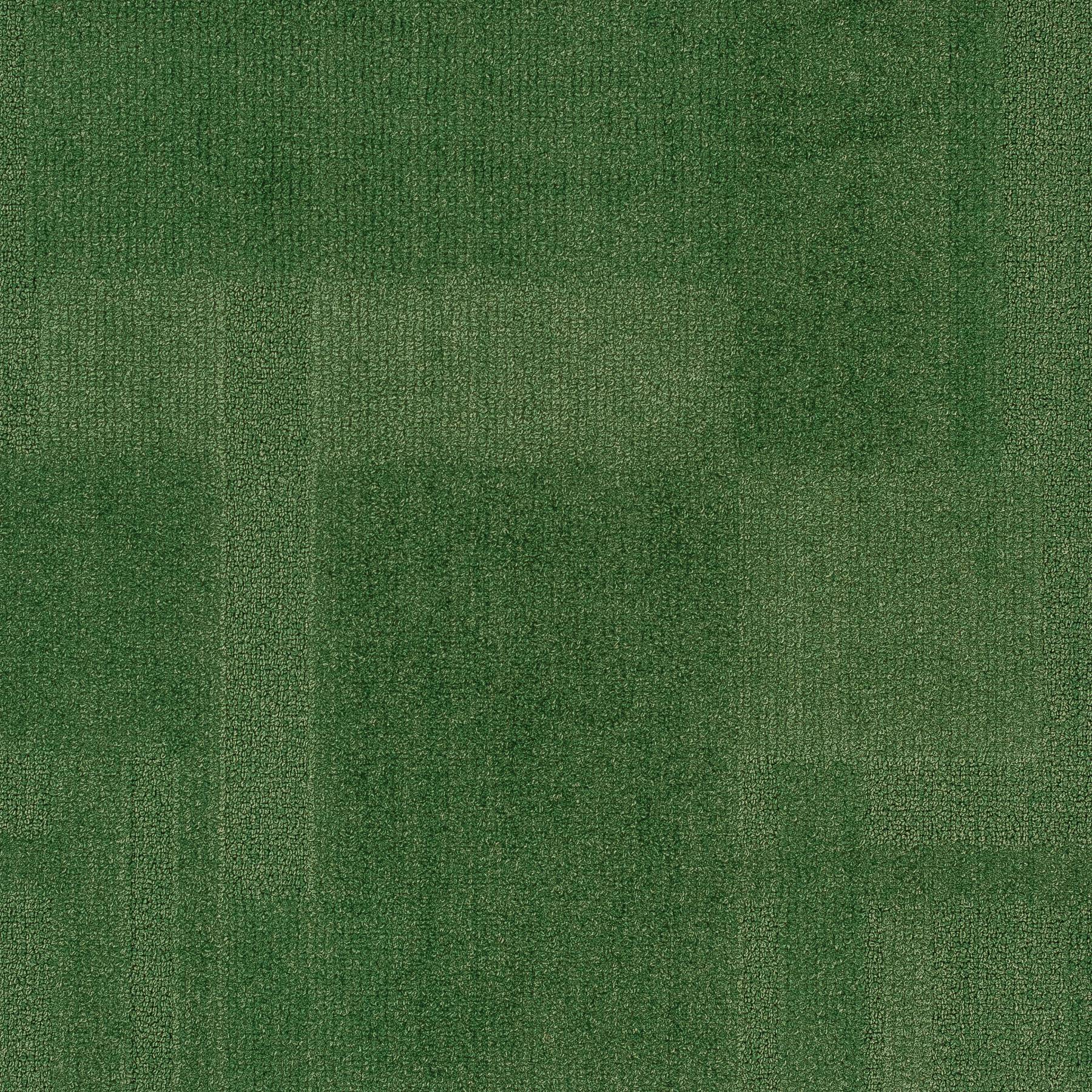 Vivid 202 - Mean Green