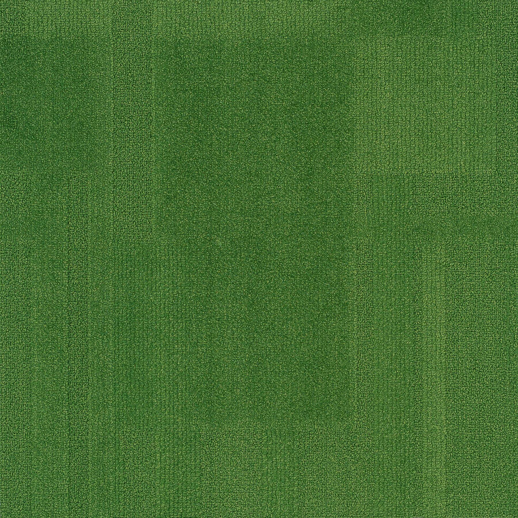 Vivid 202 - Mushy Peas