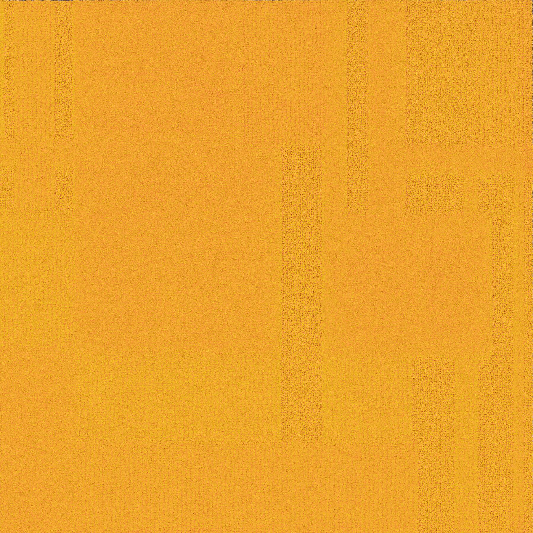 Vivid 202 - Mustard Stain