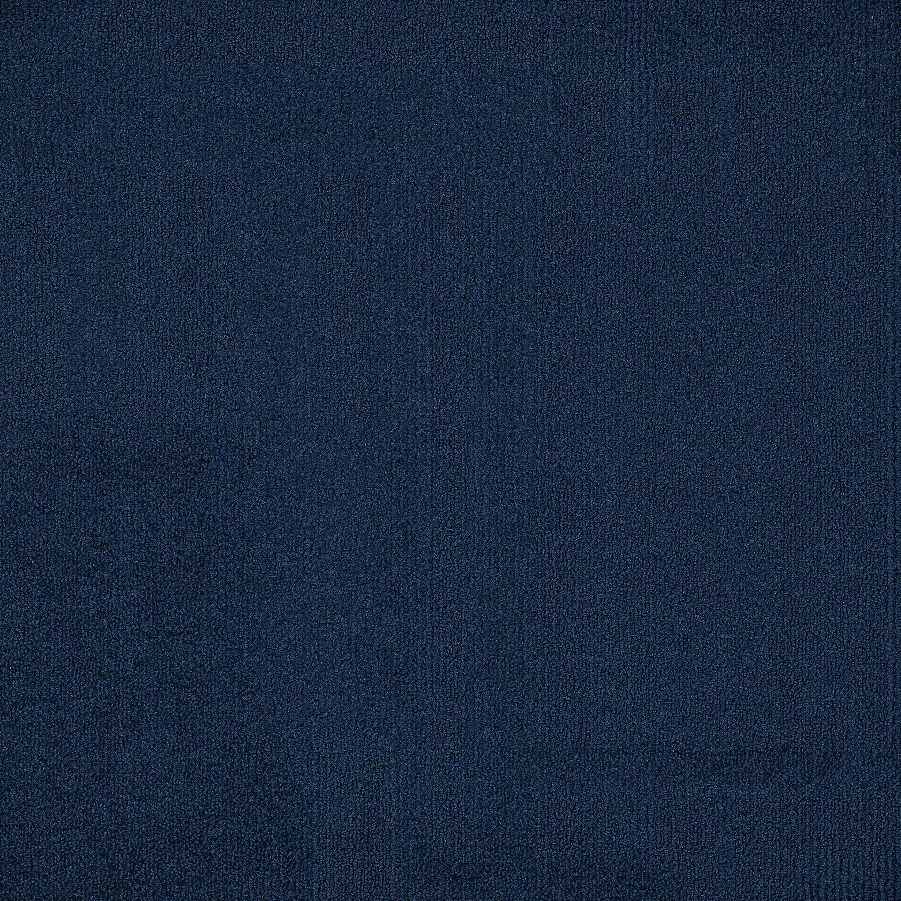 Vivid 202 - Navy Seal