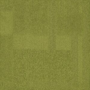 Vivid 202 - Nutty Pistachio