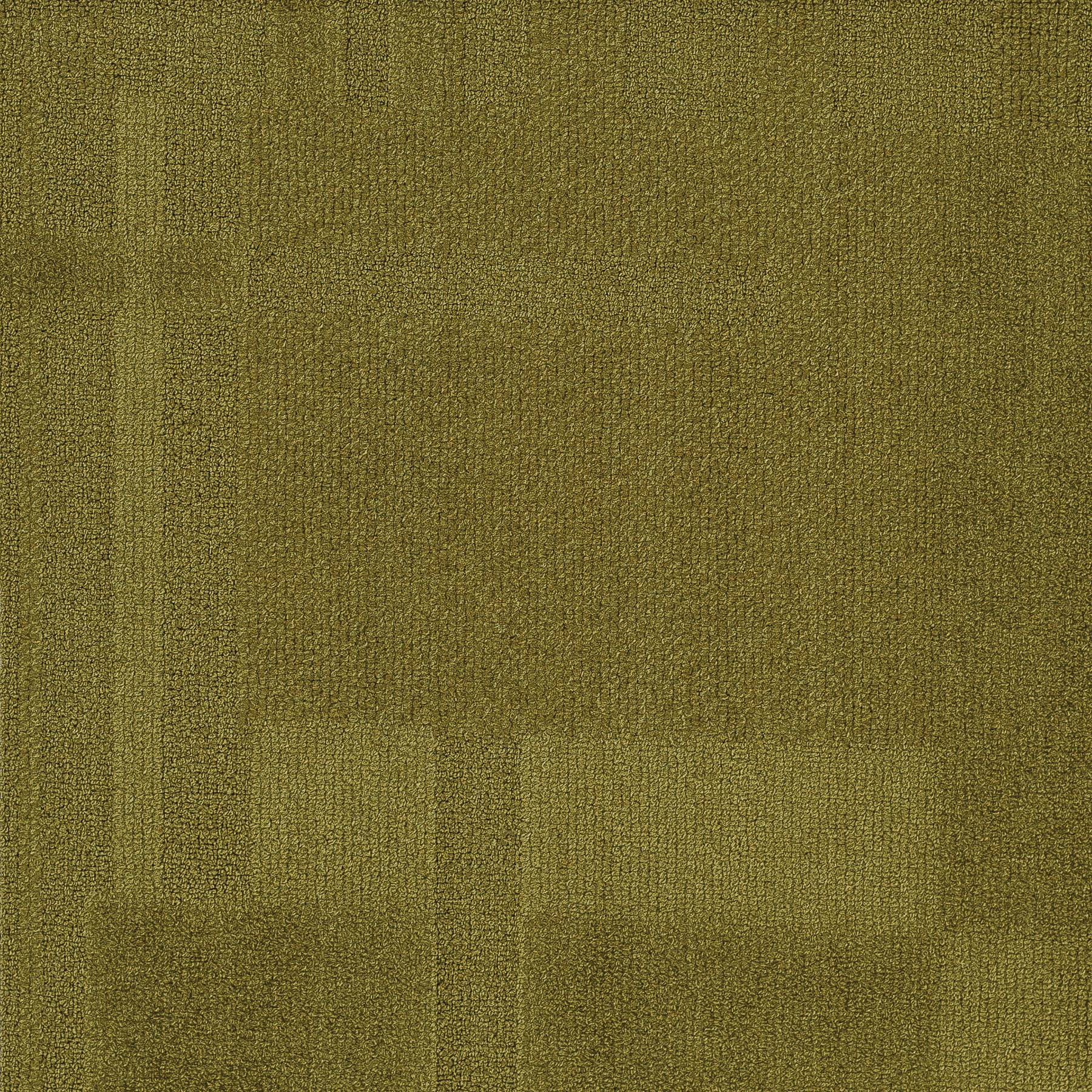 Vivid 202 - Olive Oil