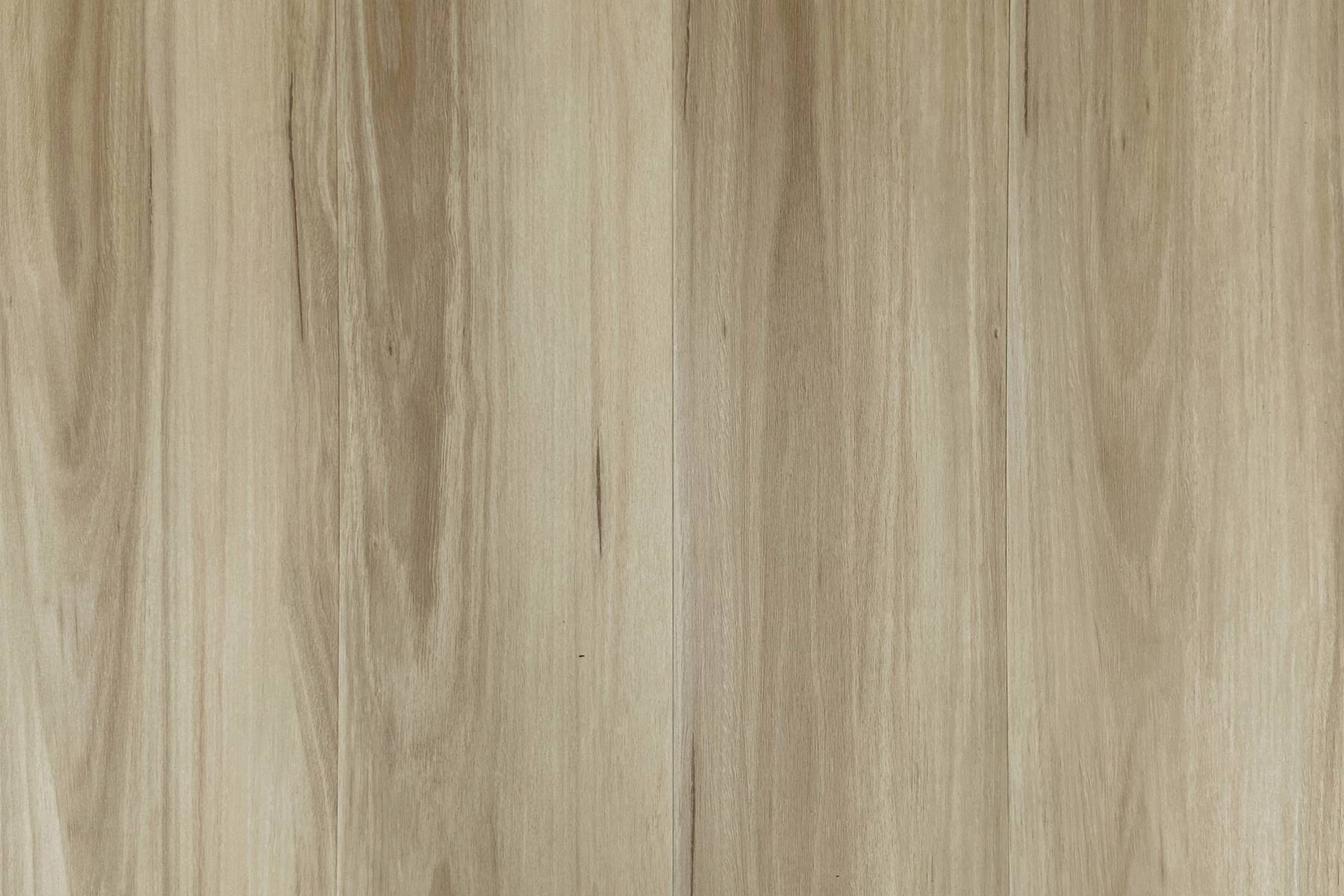 Kenzie - Oliver Blackbutt