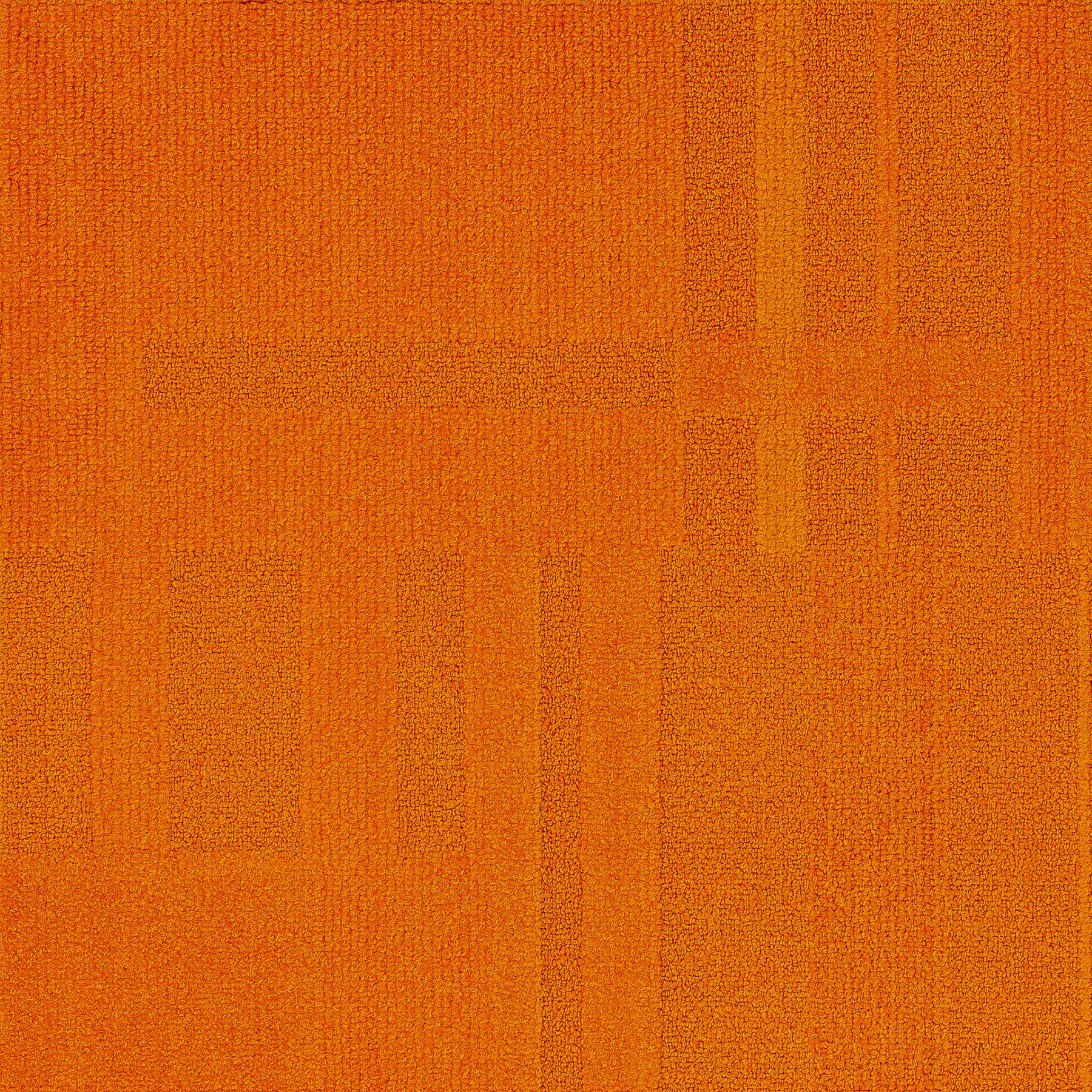 Vivid 202 - Orange Zest