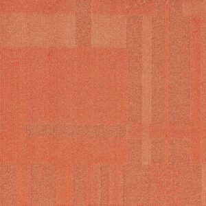 Vivid 202 - Papa Paprika