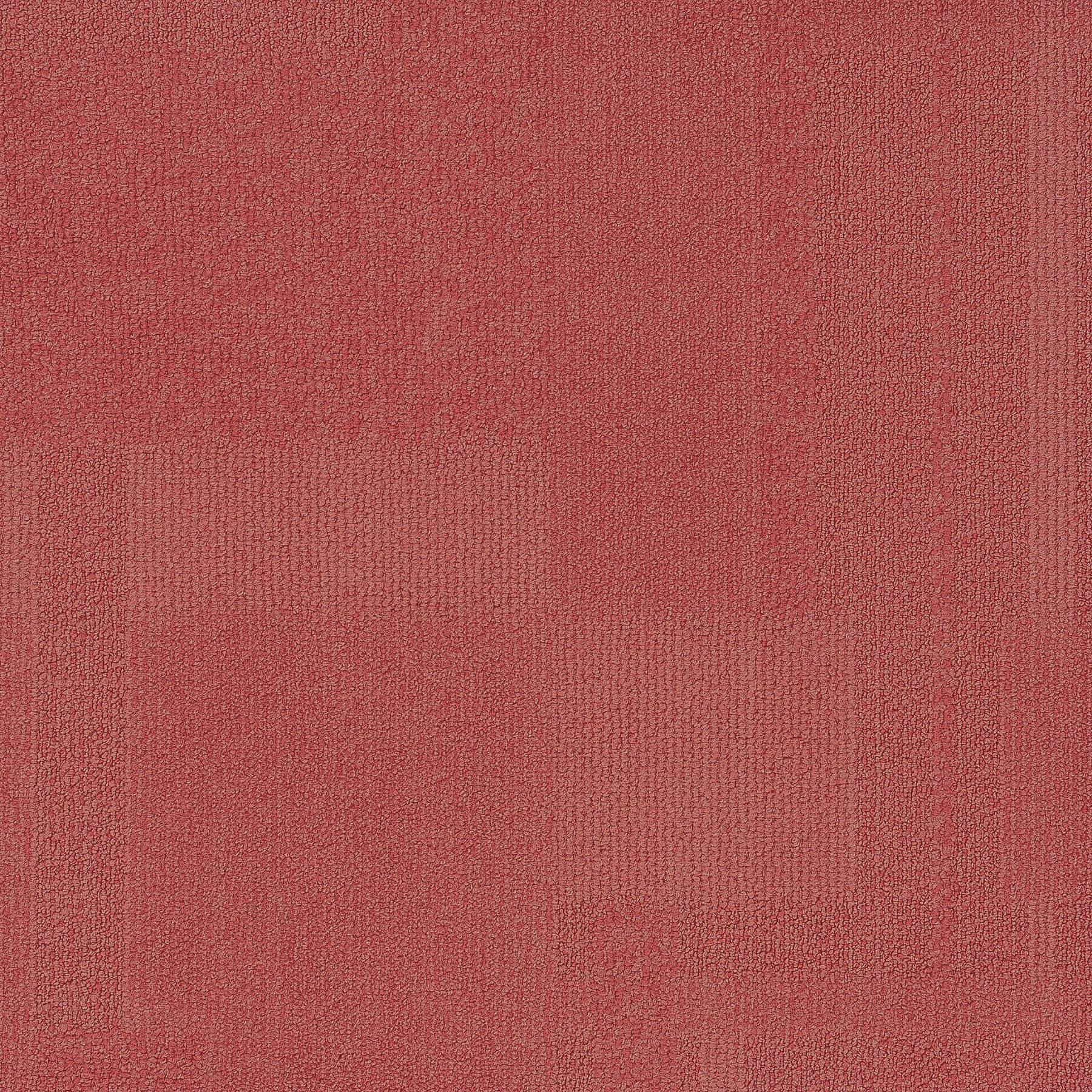 Vivid 202 - Peachy Keen