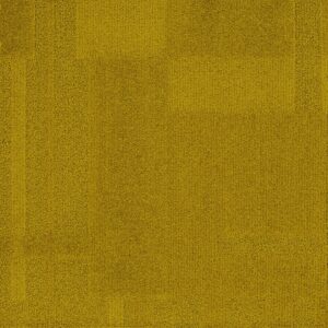 Vivid 202 - Pear Shaped