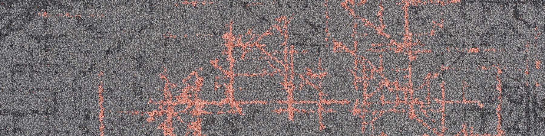 Refract - Penta Coral