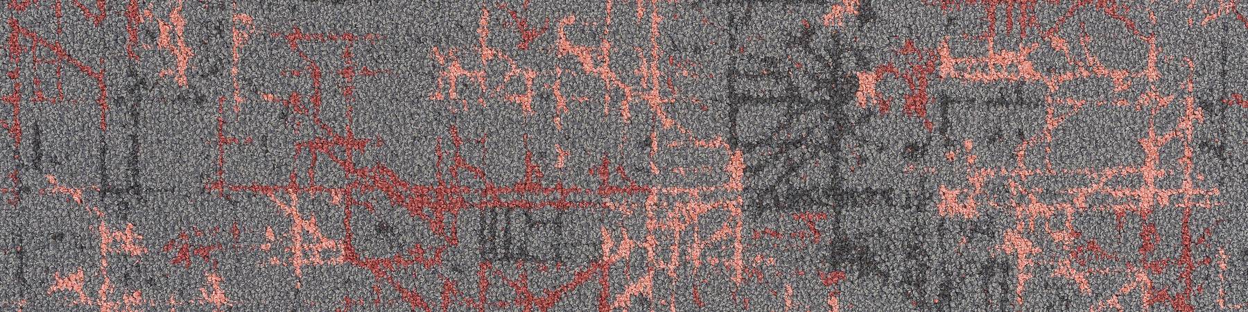 Reflect - Penta Coral Sangria