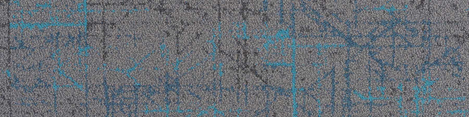 Reflect - Penta Lake Whale