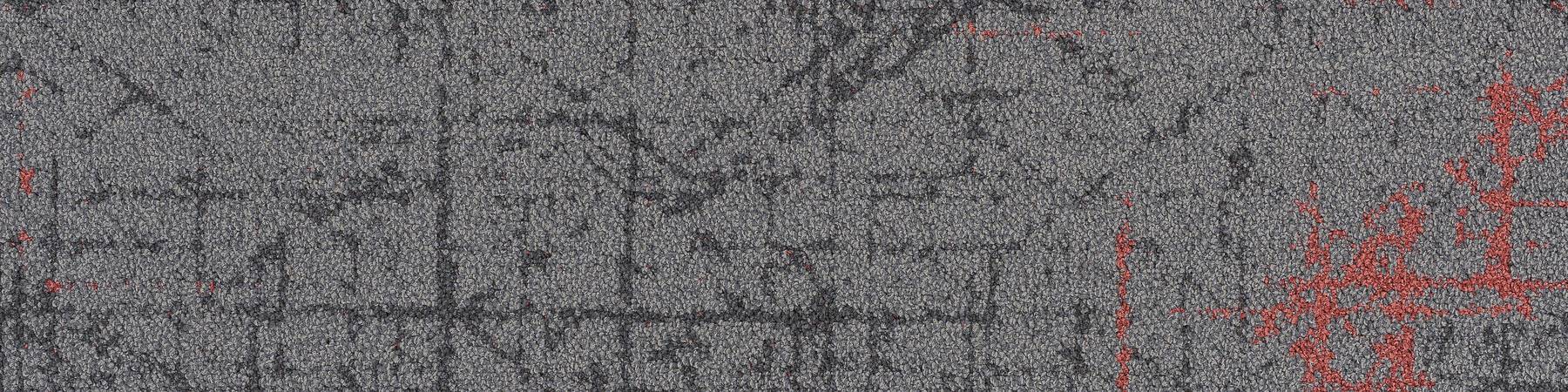 Refract - Penta Sangria