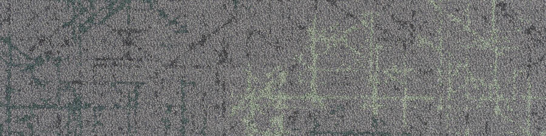 Reflect - Penta Swamped Spruce