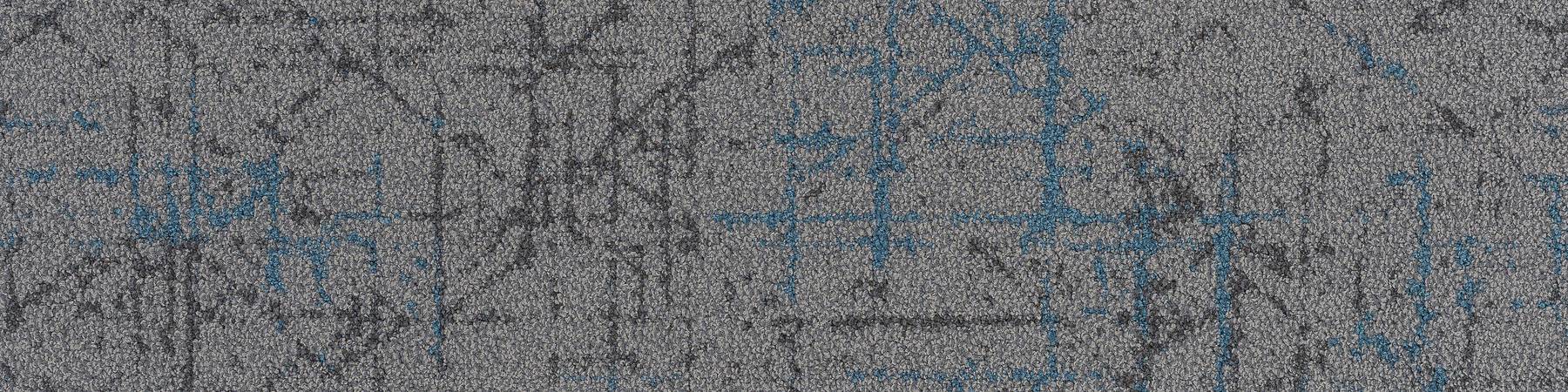 Refract - Penta Whale