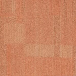 Vivid 202 - Prawn Cocktail