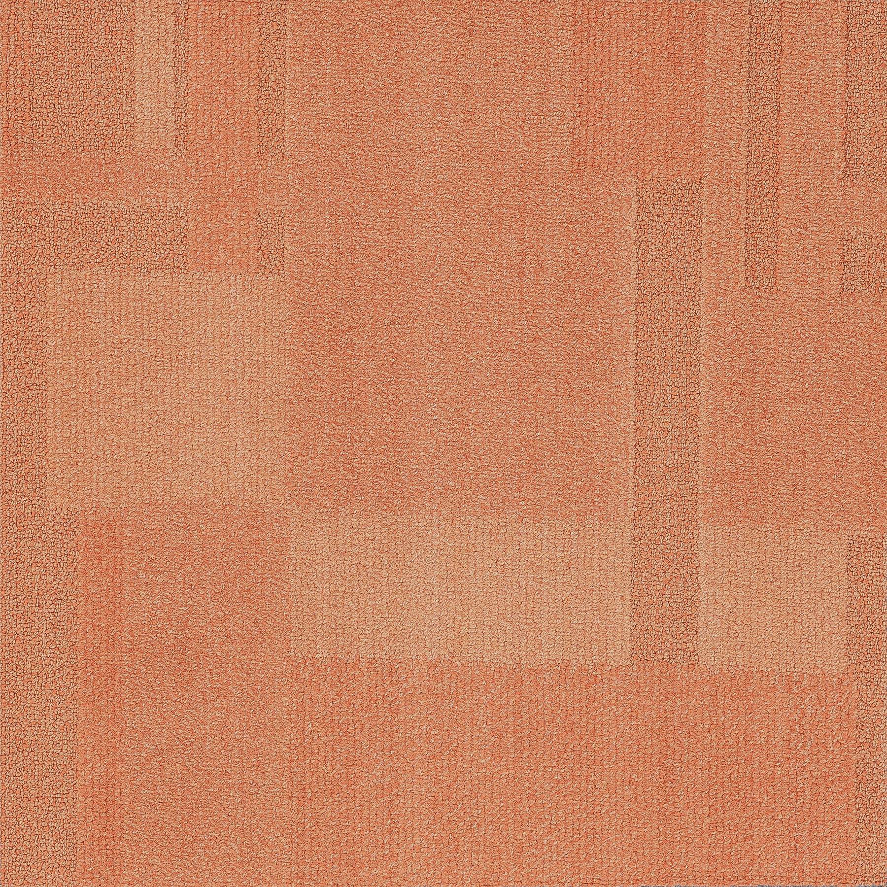 Vivid 202 - Prawn Cocktail