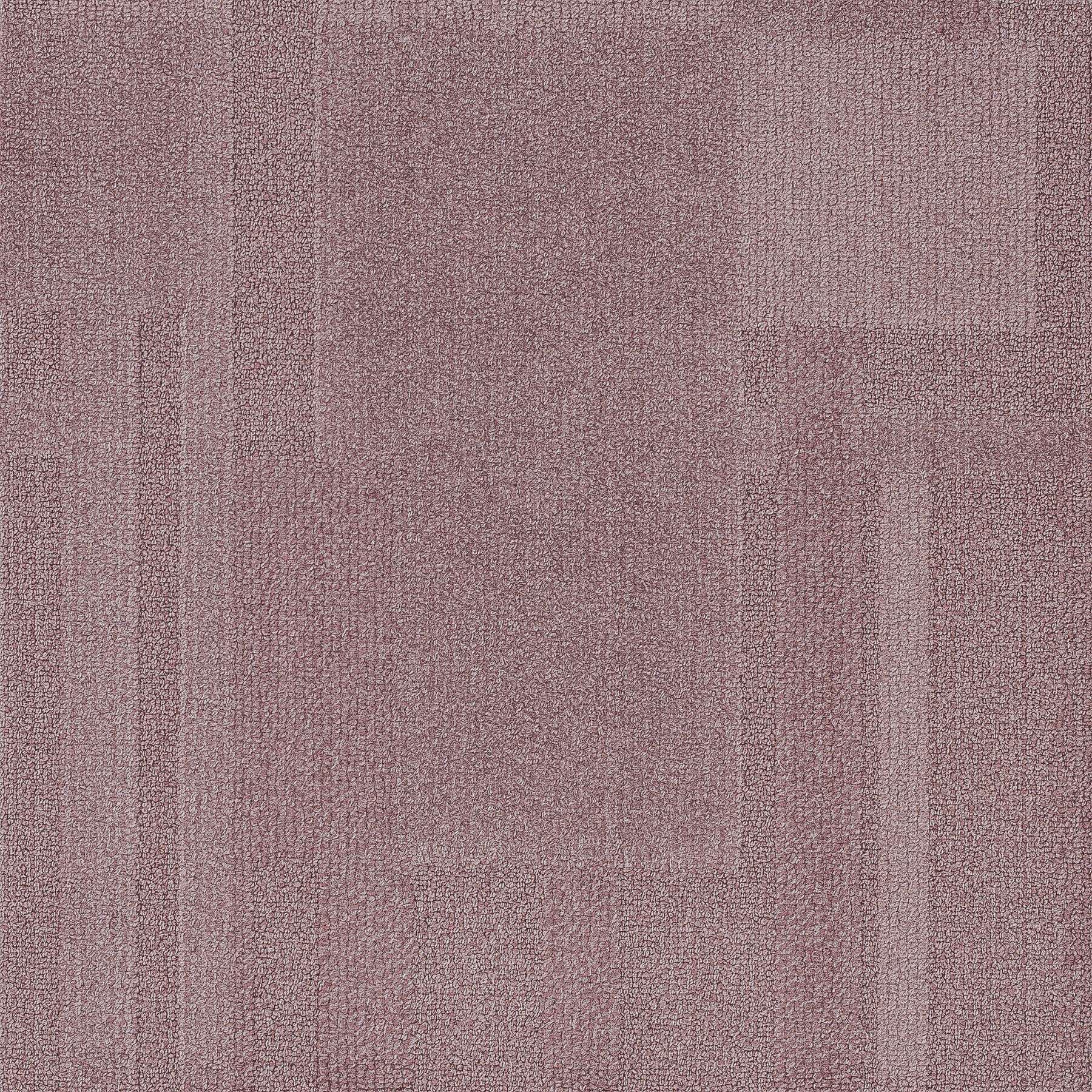 Vivid 202 - Pretty Petunia