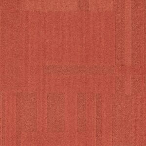 Vivid 202 - Pumpkin Patch