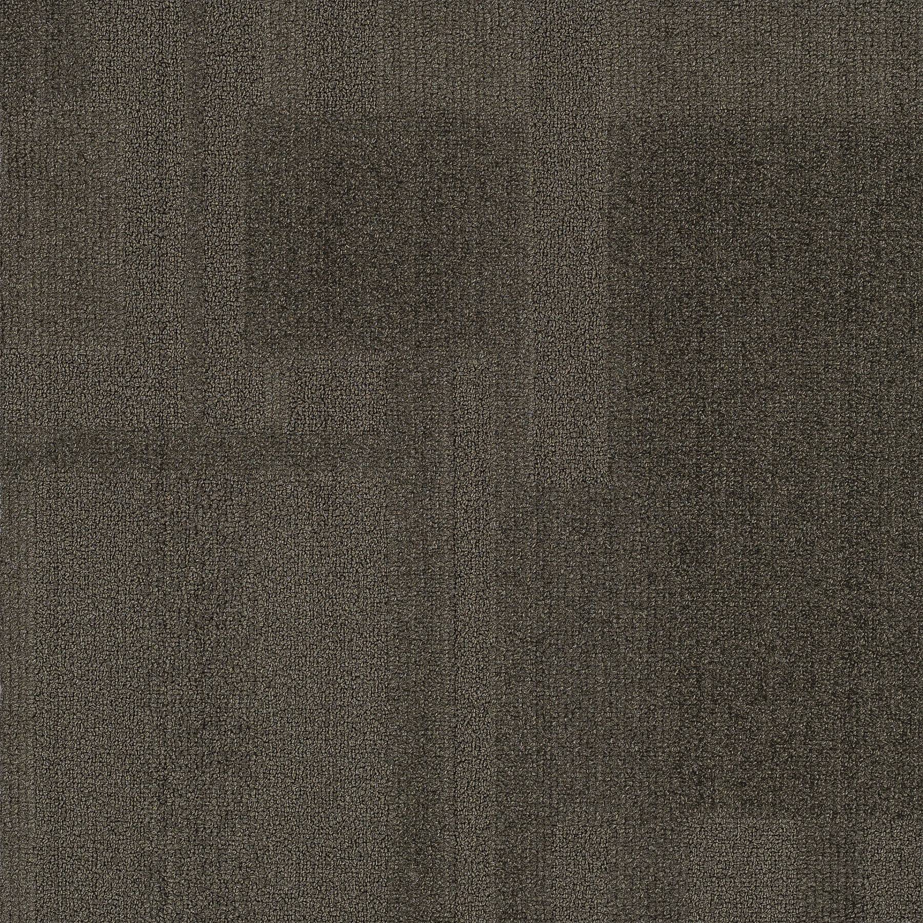 Vivid 202 - Rat Race