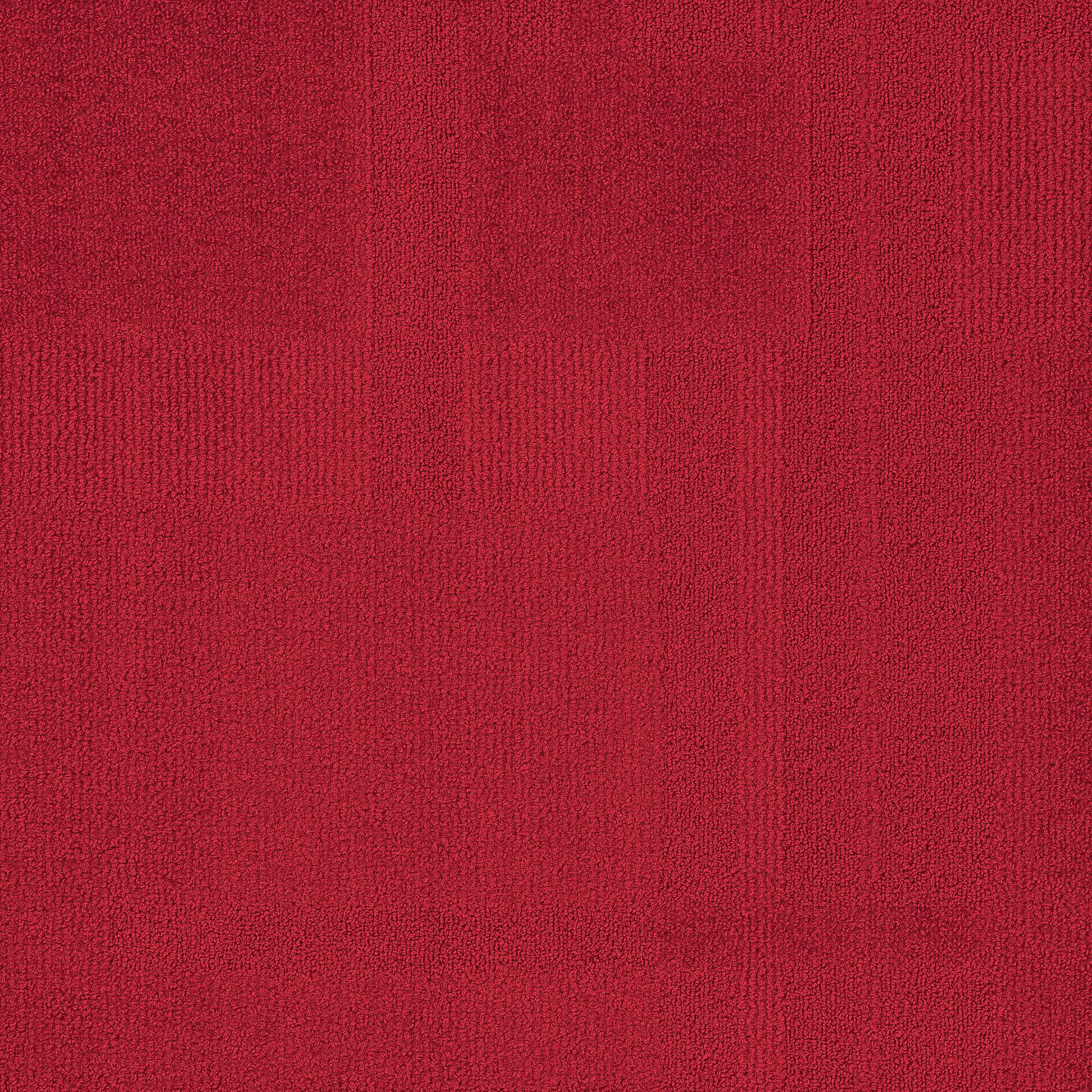 Vivid 202 - Red Head