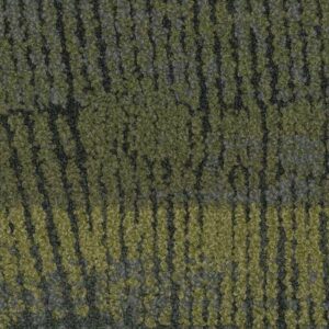 Terra Hue - Rock Lichen