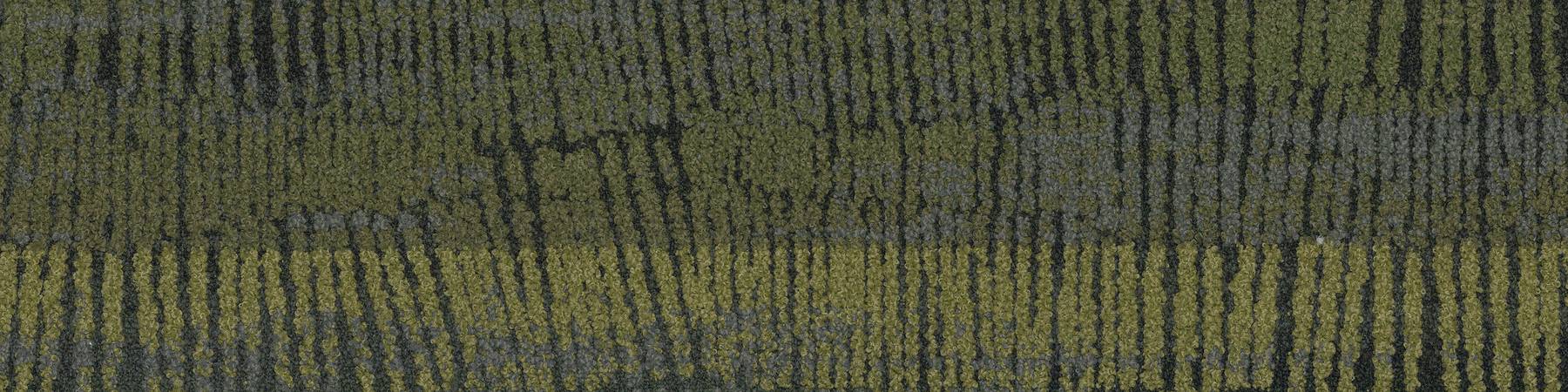 Terra Hue - Rock Lichen