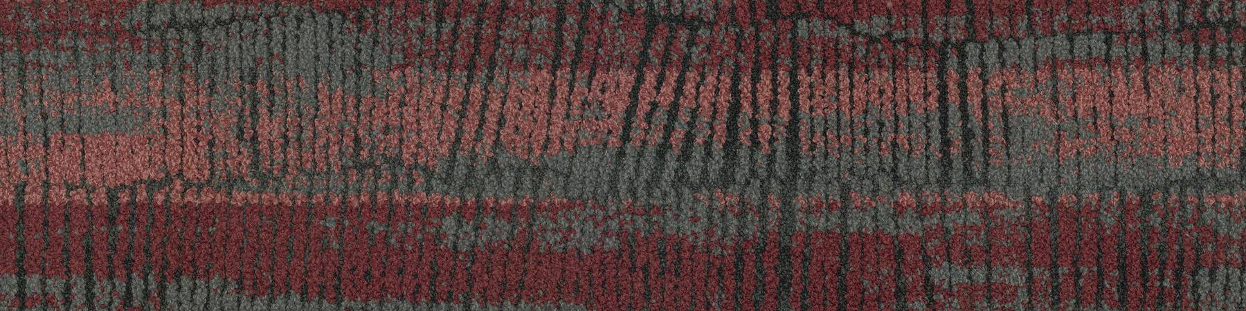 Terra Hue - Rock Waratah