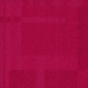 Vivid 202 - Rosa Rugosa