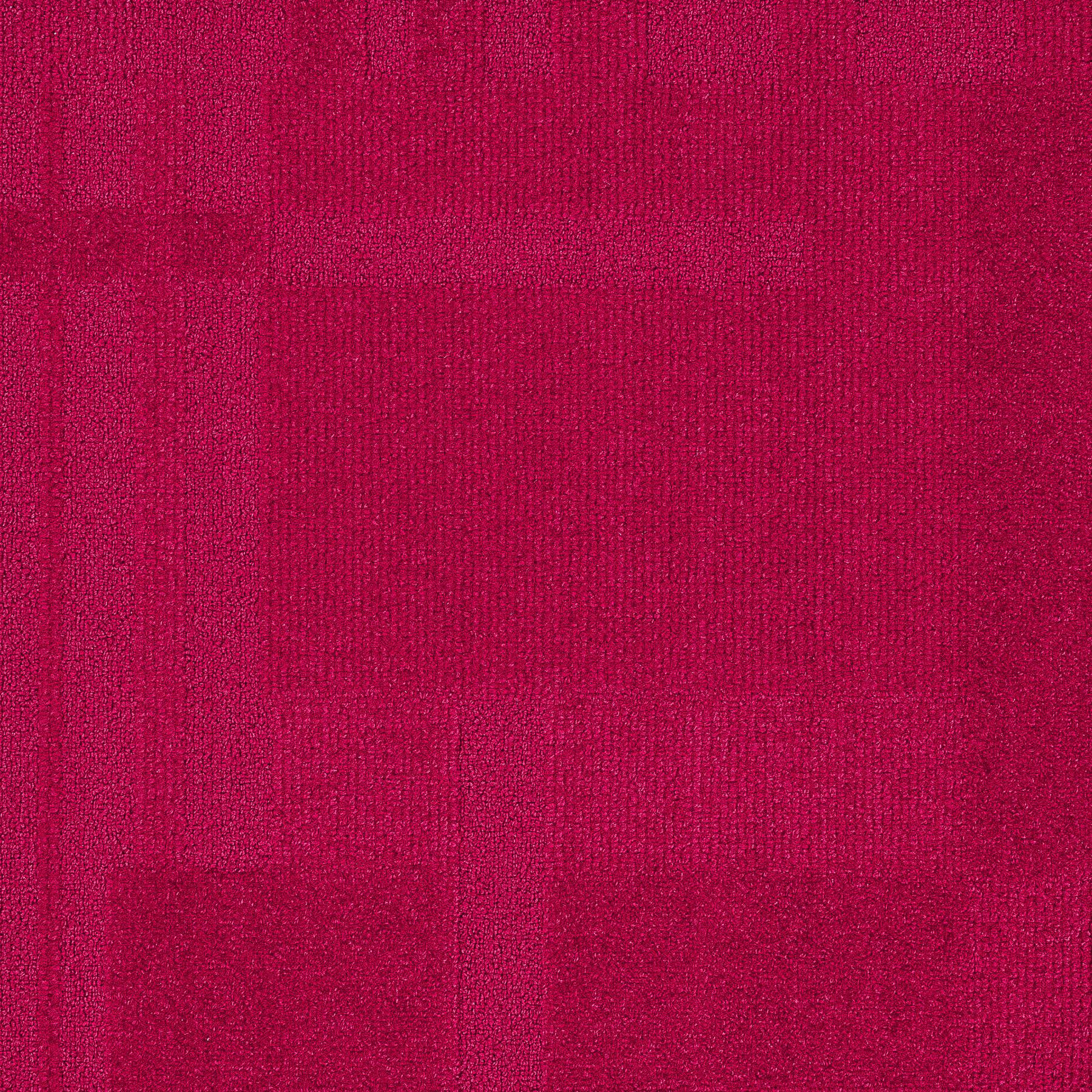 Vivid 202 - Rosa Rugosa