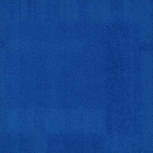 Vivid 202 - Sea Horse