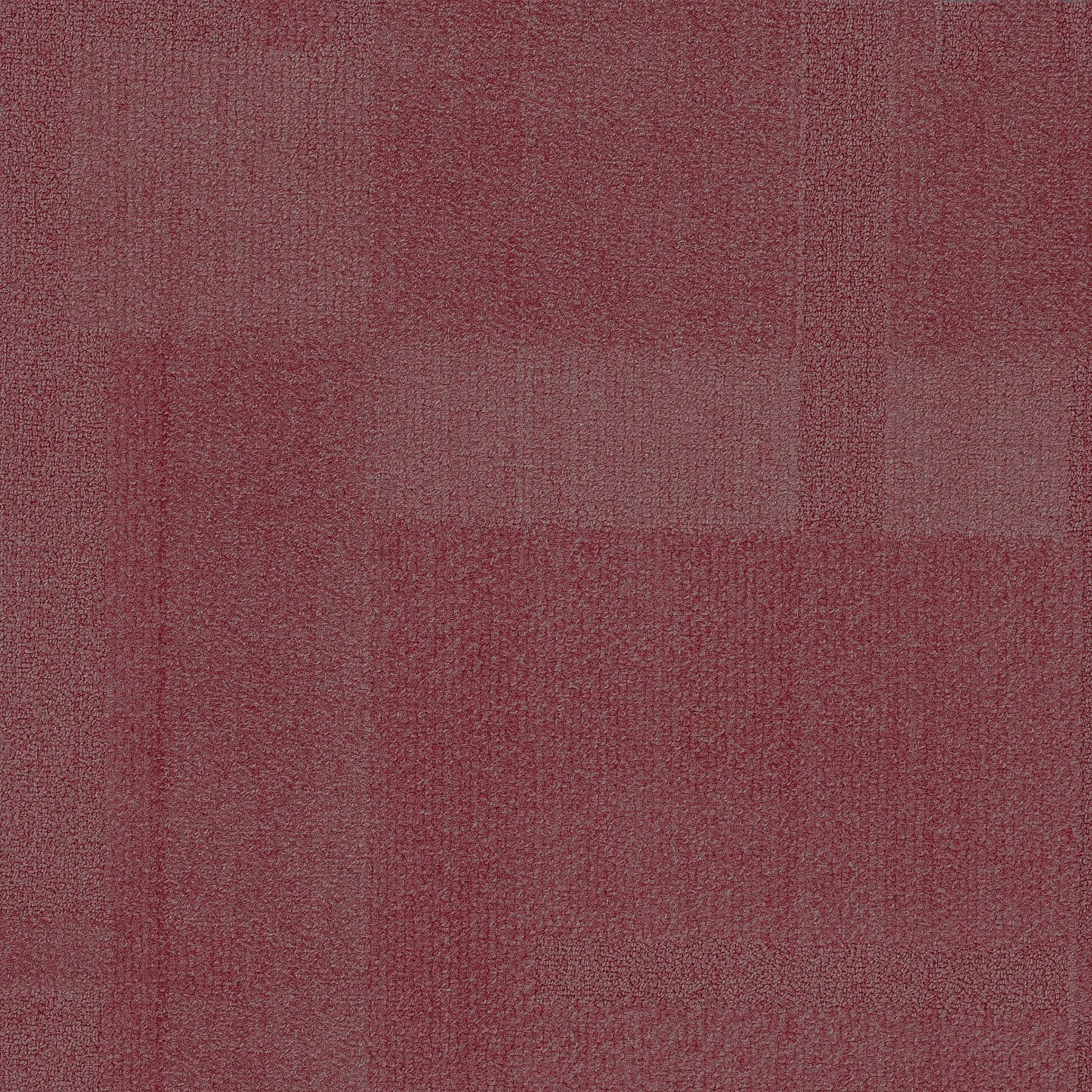 Vivid 202 - Settle Petal