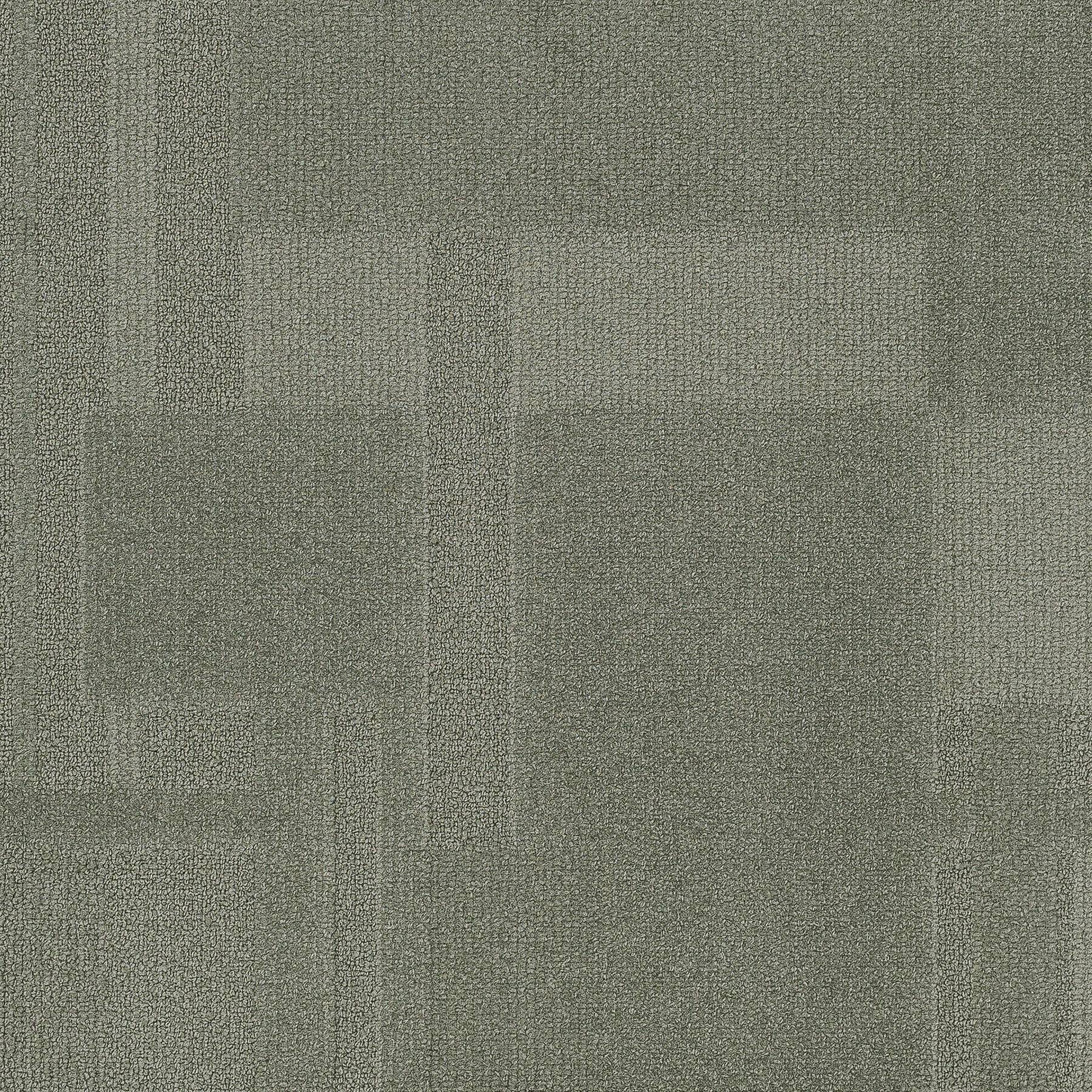 Vivid 202 - Shell Shocked