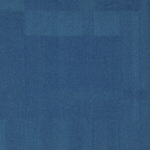 Vivid 202 - Ships Ahoy