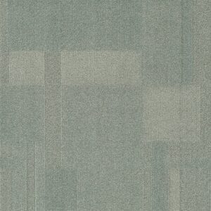 Vivid 202 - Silver Fox