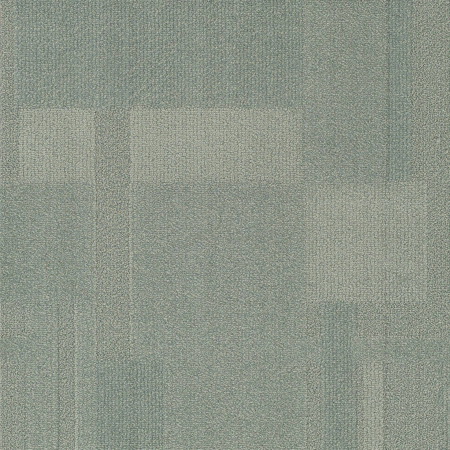 Vivid 202 - Silver Fox