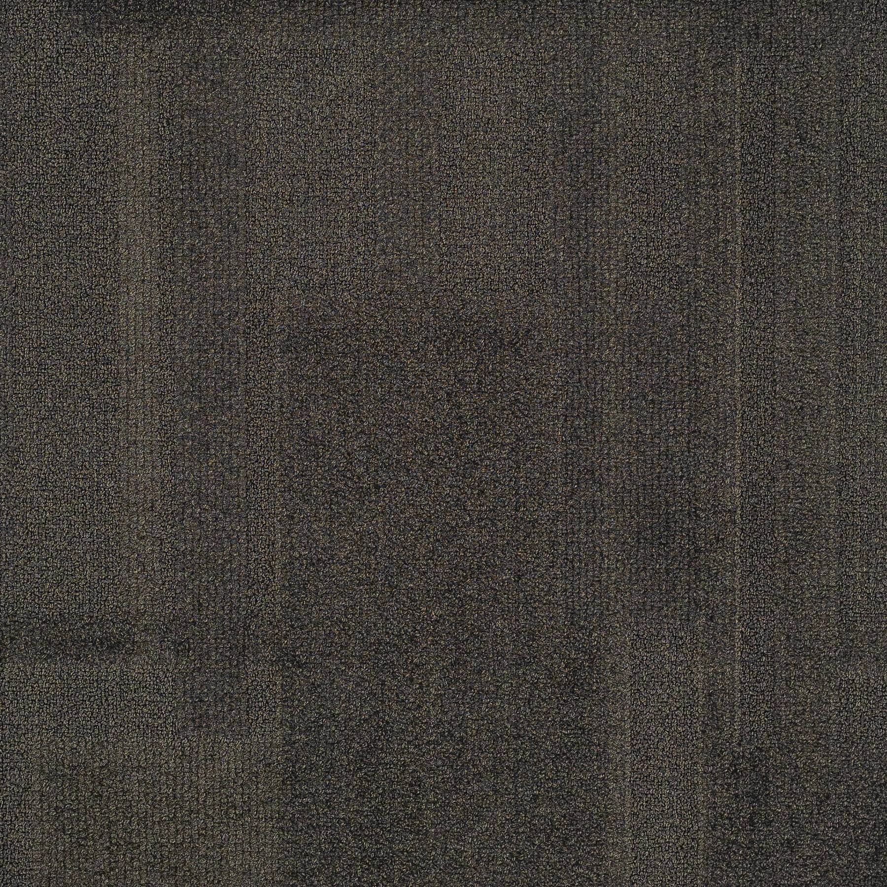 Vivid 202 - Smokey Eye