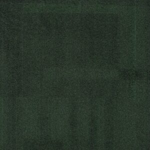 Vivid 202 - Spruce Moose