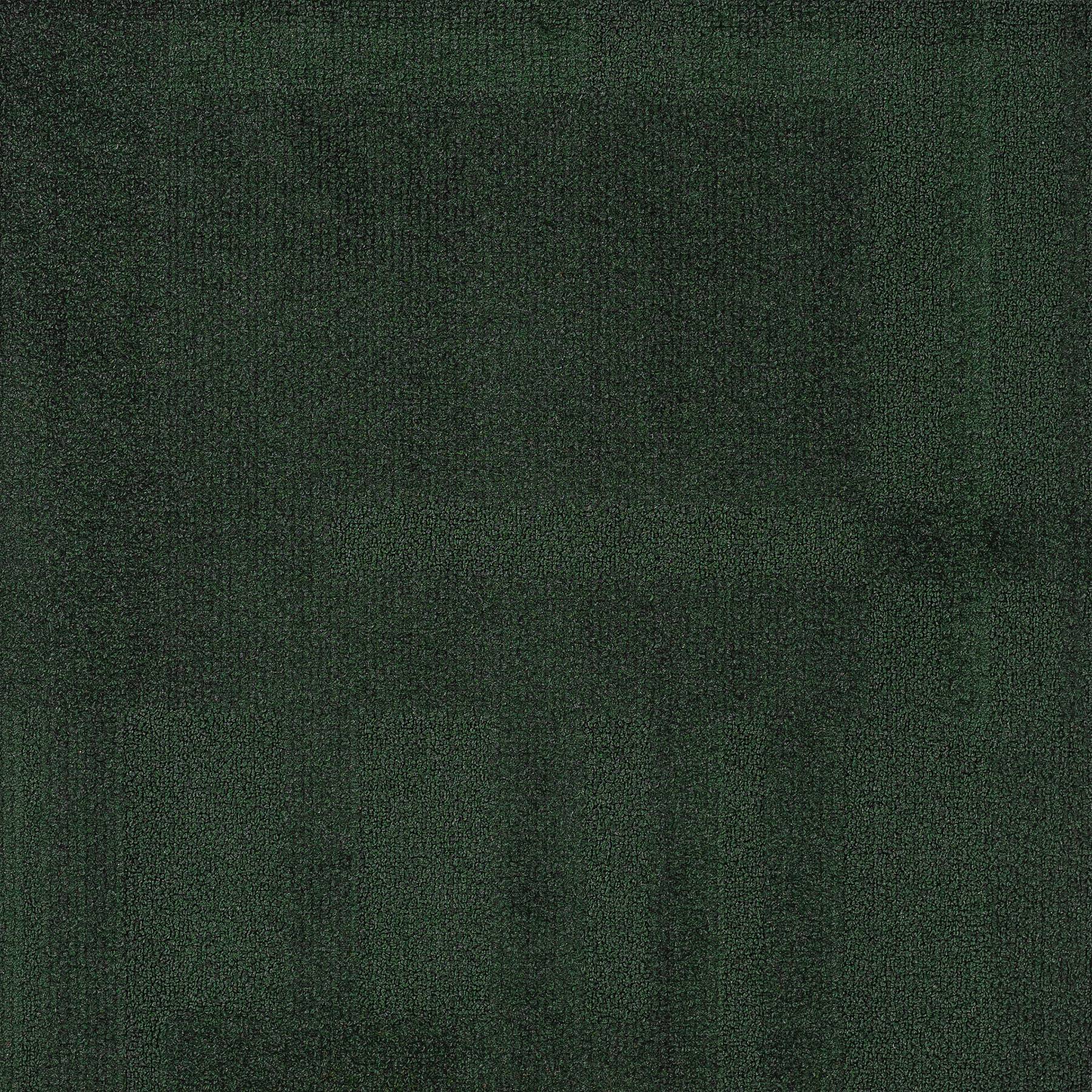 Vivid 202 - Spruce Moose