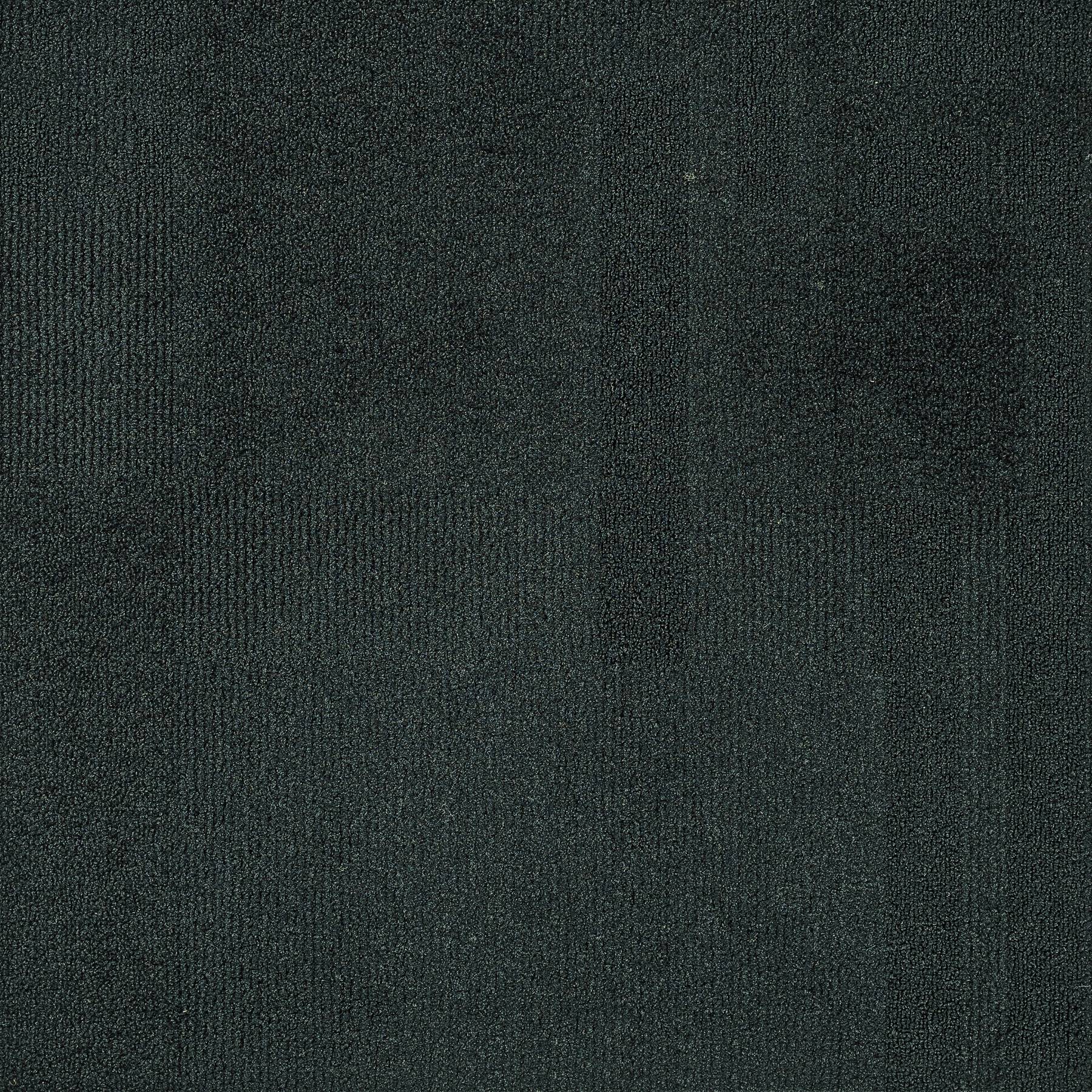 Vivid 202 - Stone Age