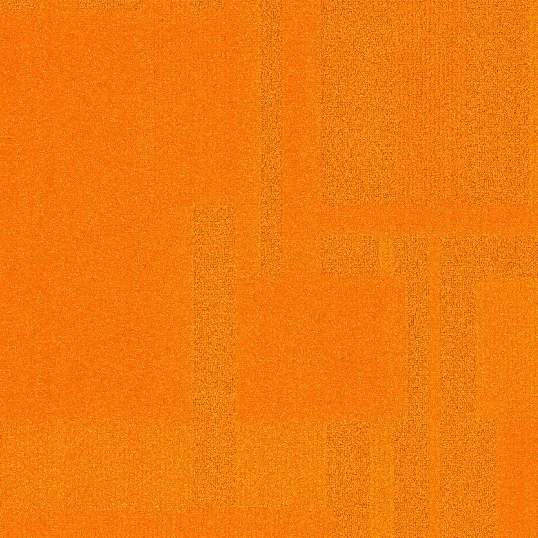 Vivid 202 - Tasty Tangerine