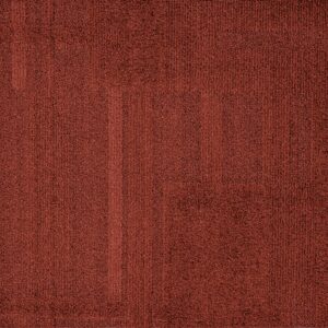 Vivid 202 - Terra Nova