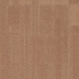 Vivid 202 - Toasted Coconut