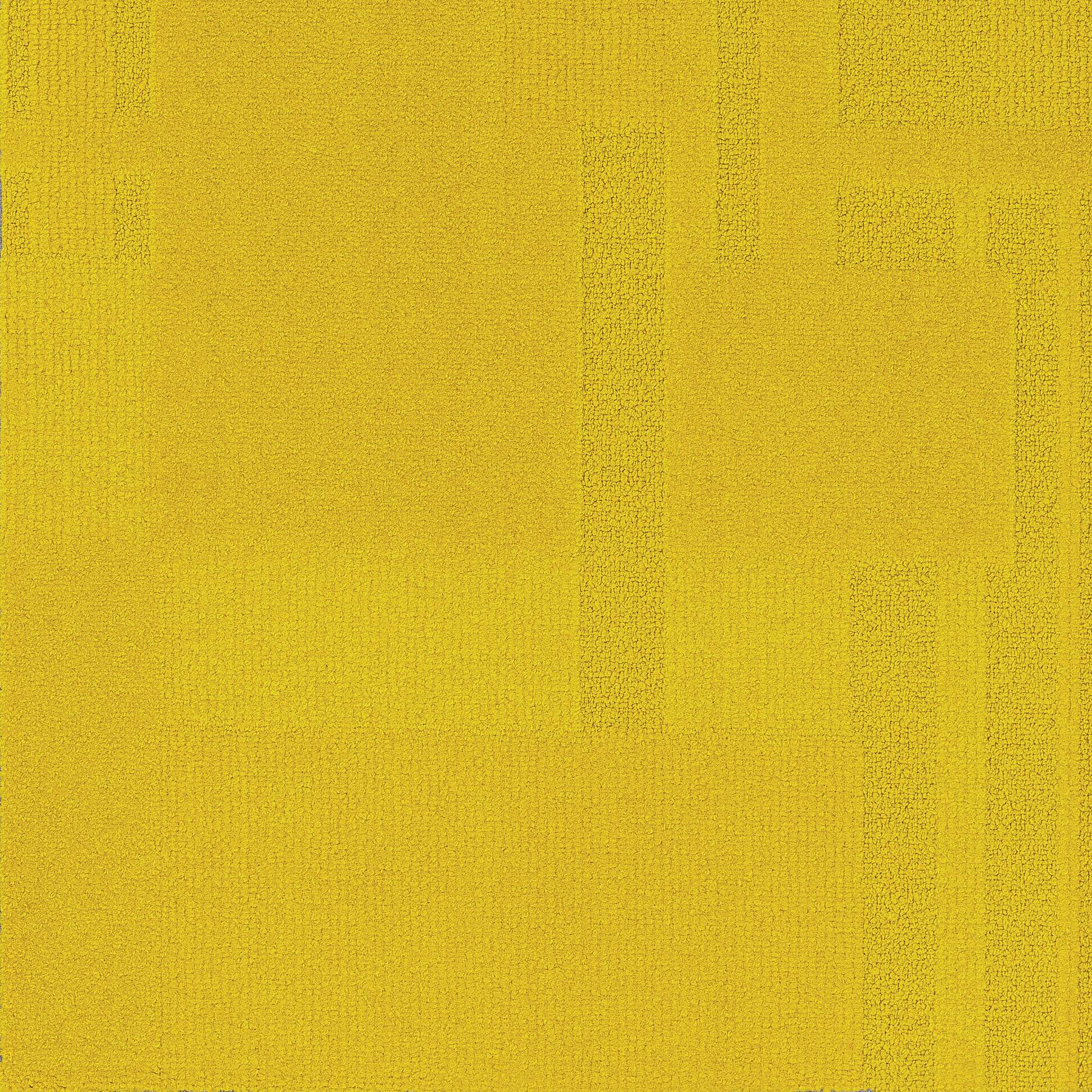 Vivid 202 - Wasabi Pea