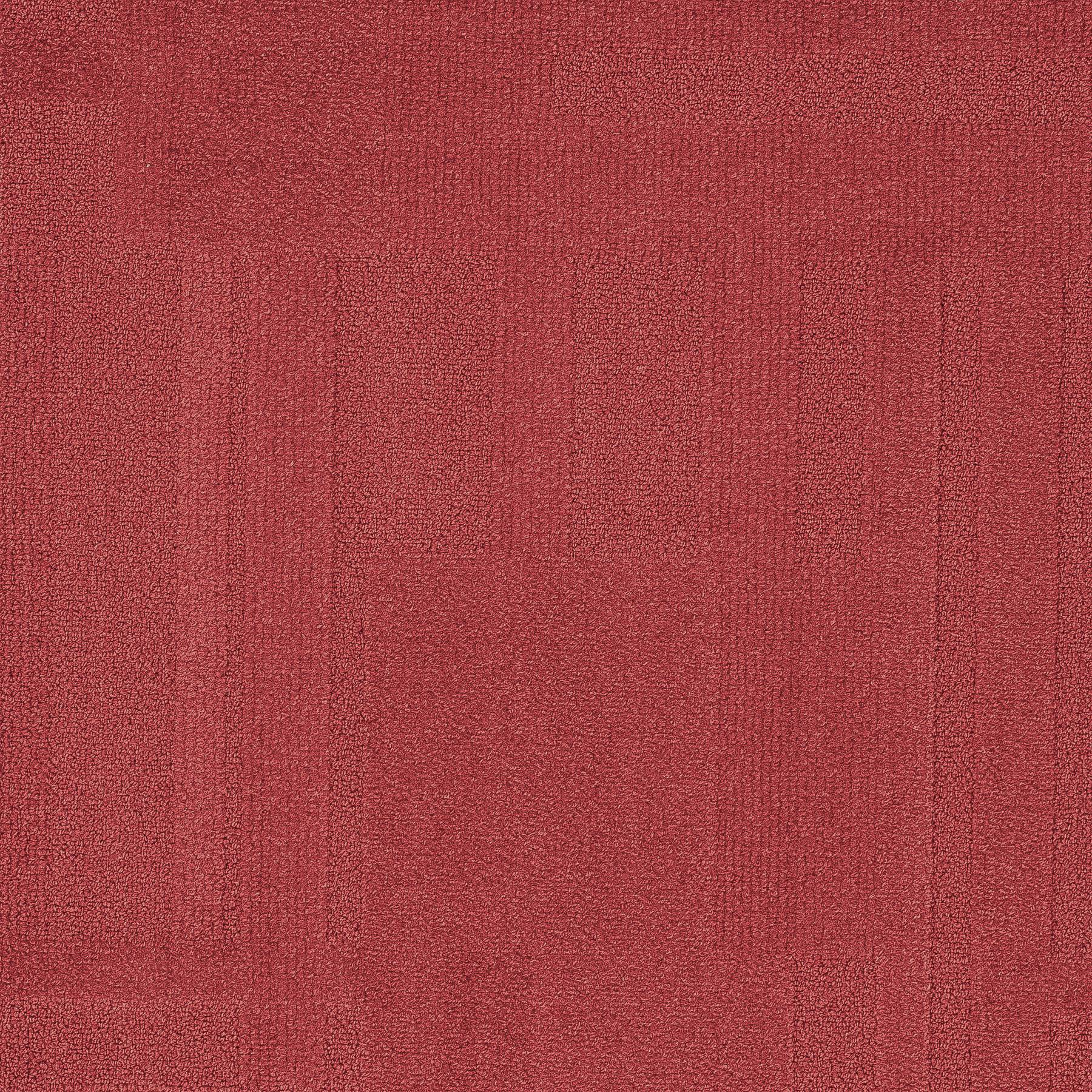 Vivid 202 - Watermelon Punch