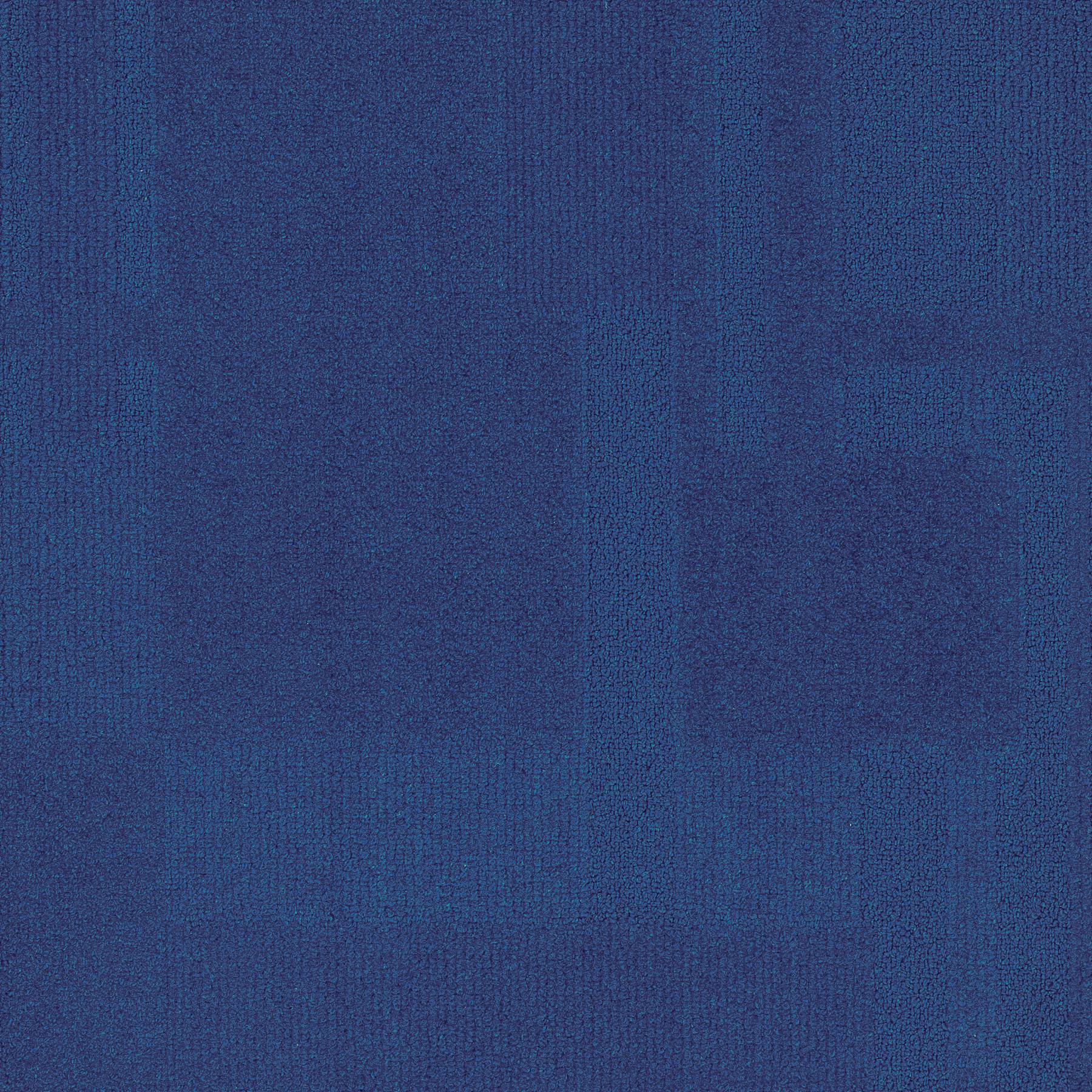 Vivid 202 - Wave Goodbye