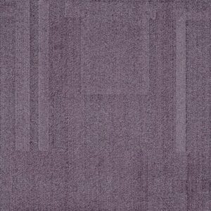 Vivid 202 - Wisteria Lane