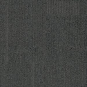 Vivid 202 - Wolf Pack