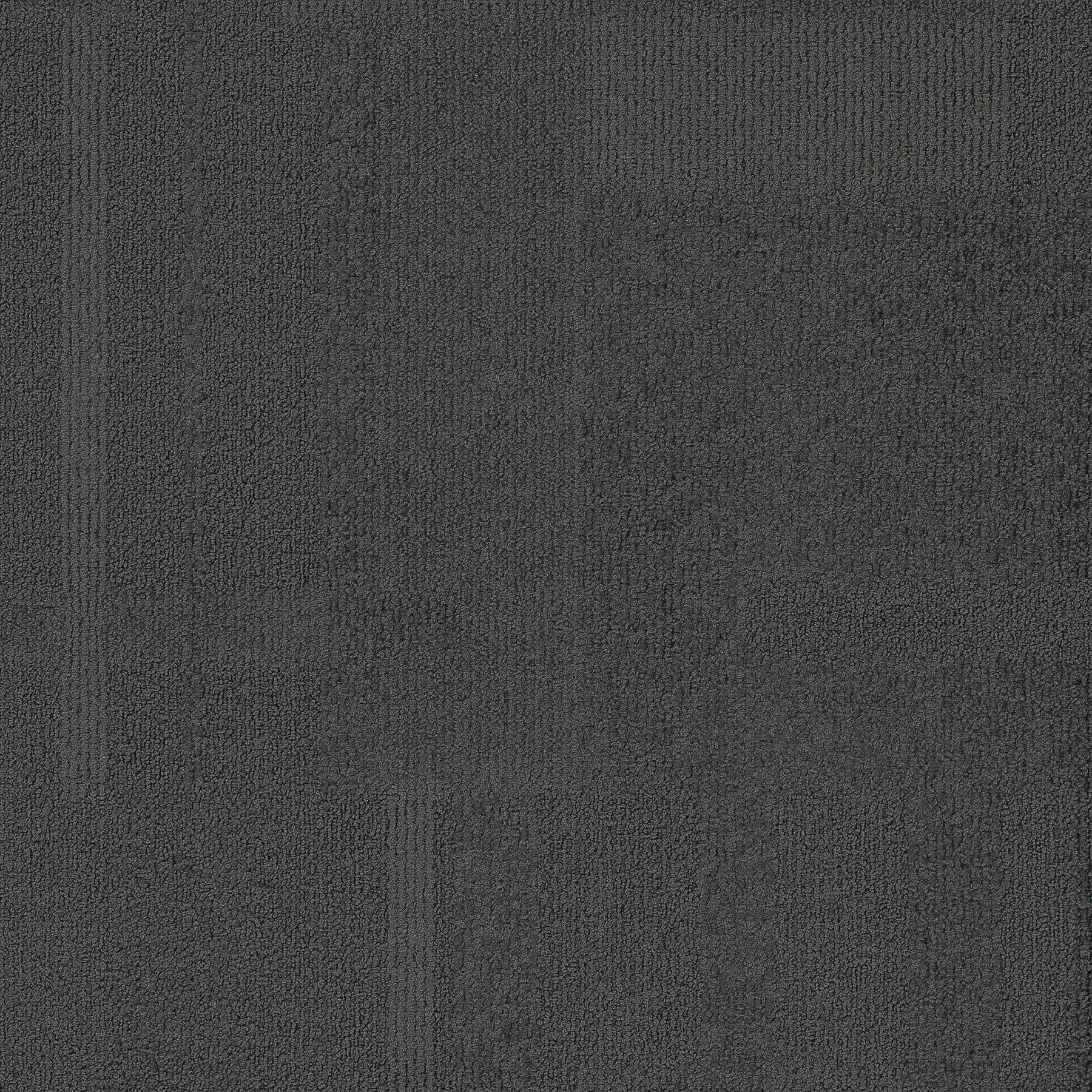 Vivid 202 - Wolf Pack